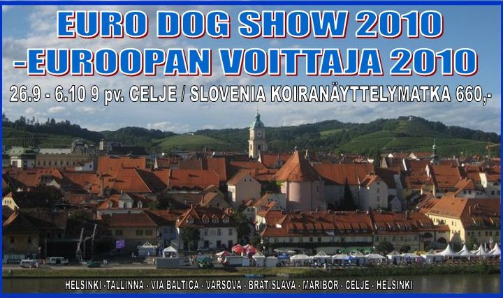 euro_dog_show_2010_celje_euroopan_voittaja.jpg